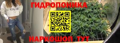 мдпв Ефремов